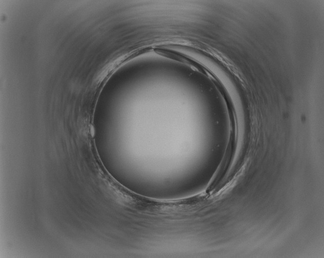 X0000073900985200608180954