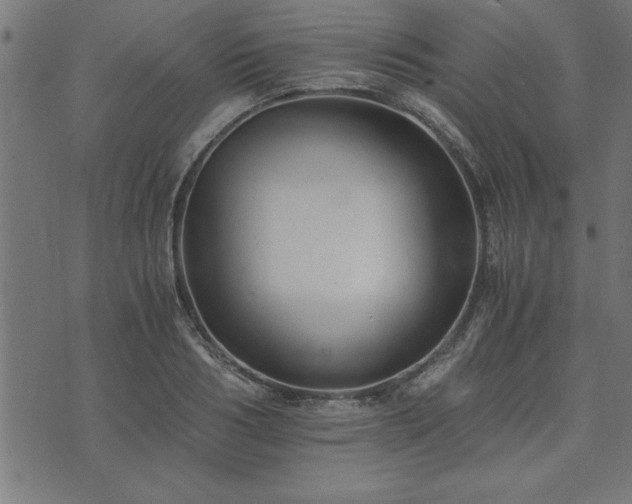 X0000073900986200608180954