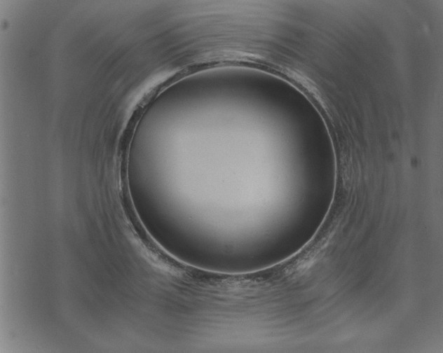 X0000073900987200608180954