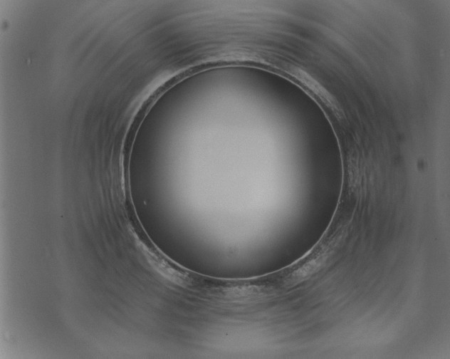 X0000073900988200608180954