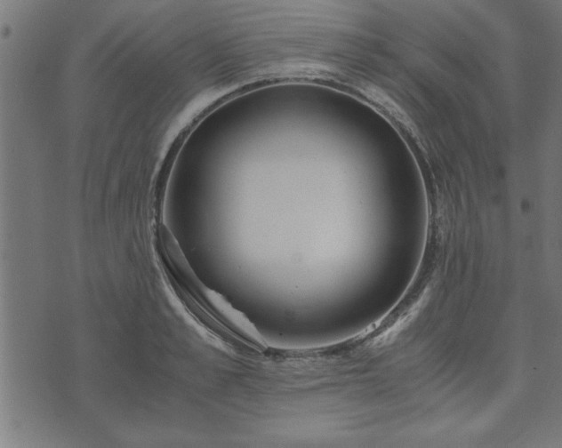 X0000073900989200608180954