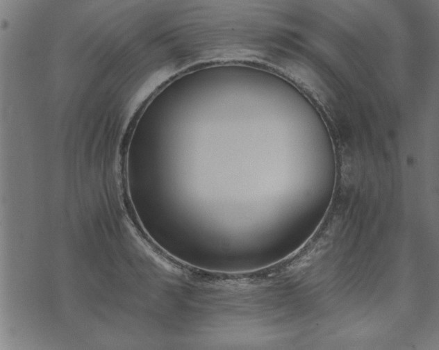 X0000073900990200608180954