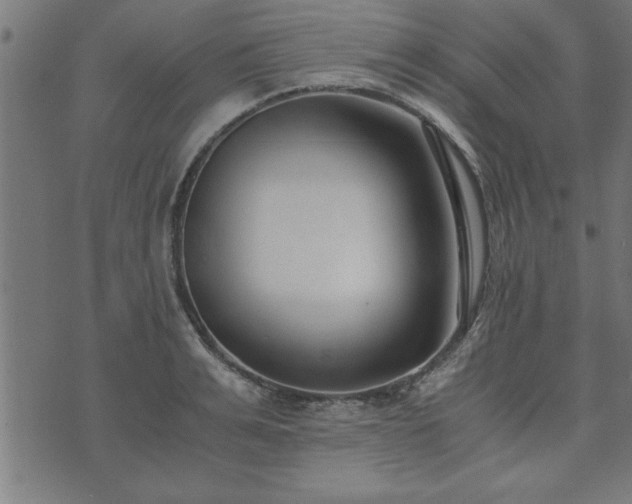 X0000073900991200608180954