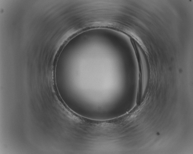 X0000073900992200608180954