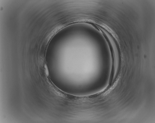 X0000073900993200608180954