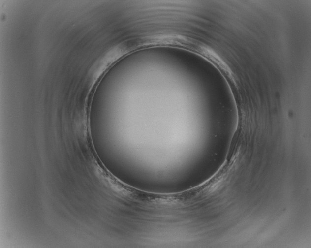 X0000073900994200608180954