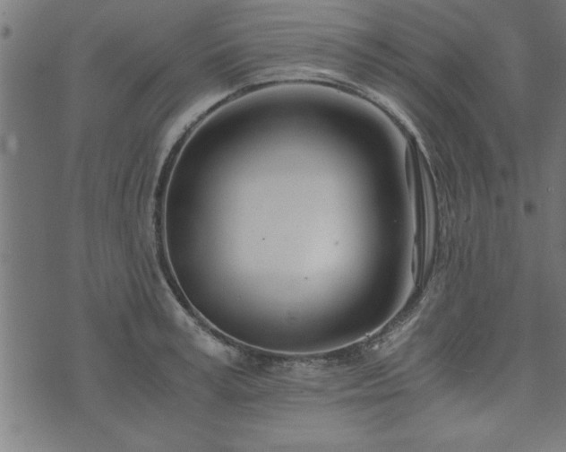 X0000073900995200608180954