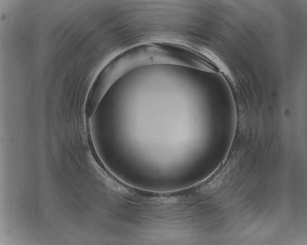 X0000073900996200608180954