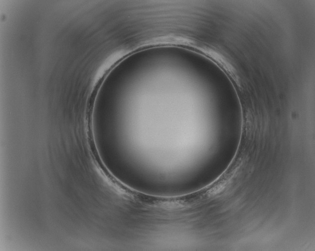 X0000073900998200608180954