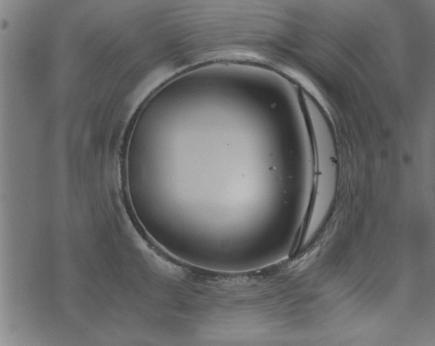 X0000073900999200608180954