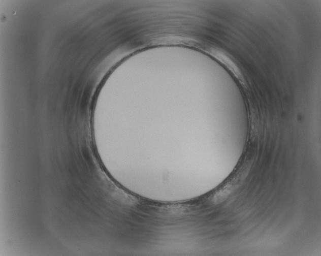 X0000073901000200608180954