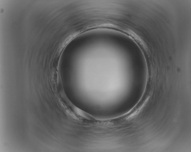 X0000073901001200608180954