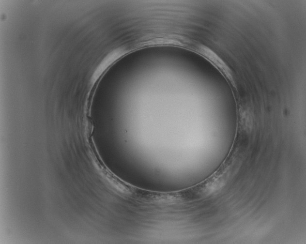 X0000073901002200608180954