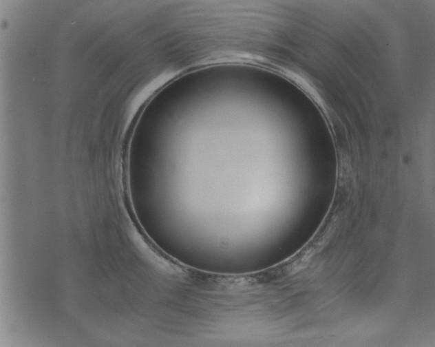 X0000073901003200608180954