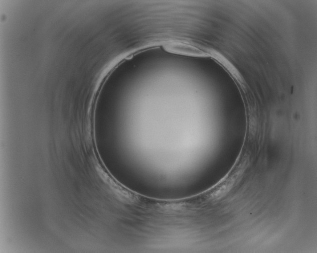 X0000073901004200608180954