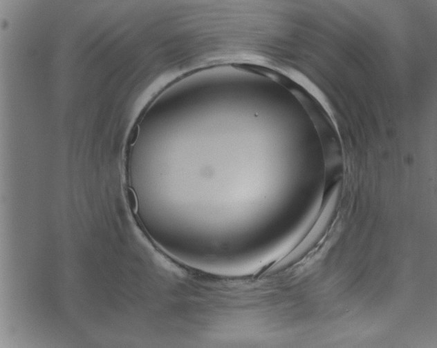 X0000073901005200608180954