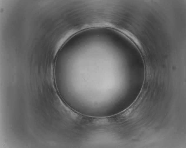 X0000073901006200608180954