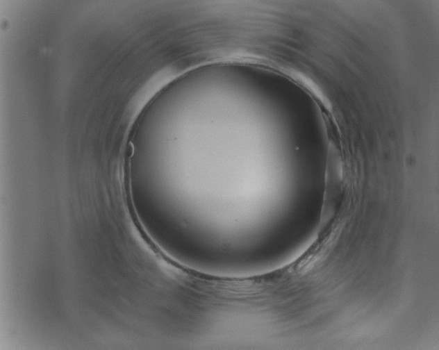 X0000073901007200608180954