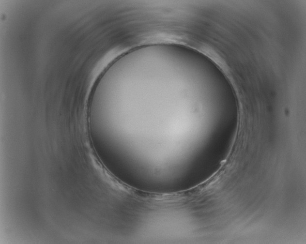 X0000073901008200608180954