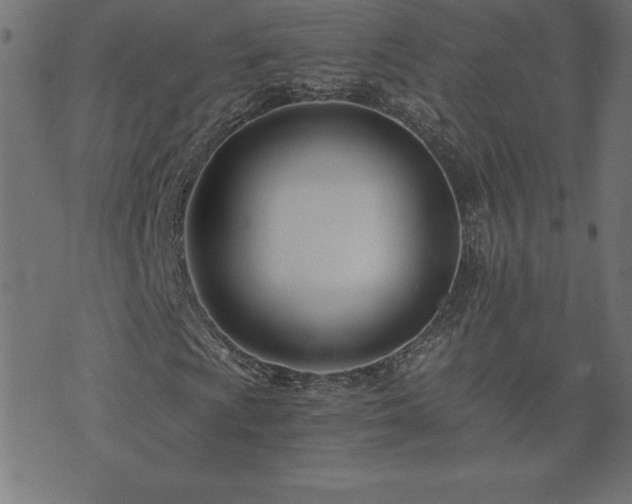 X0000073901009200608180953