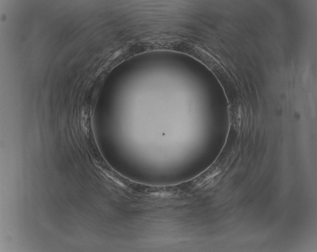 X0000073901010200608180953