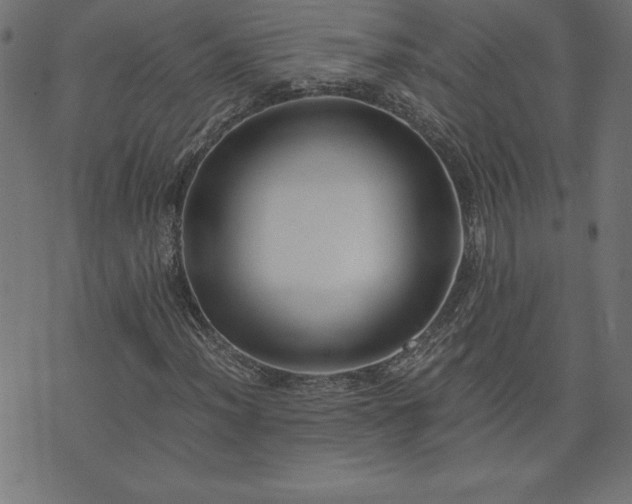 X0000073901012200608180953