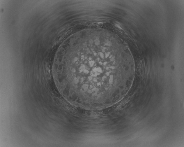 X0000073901013200608180953