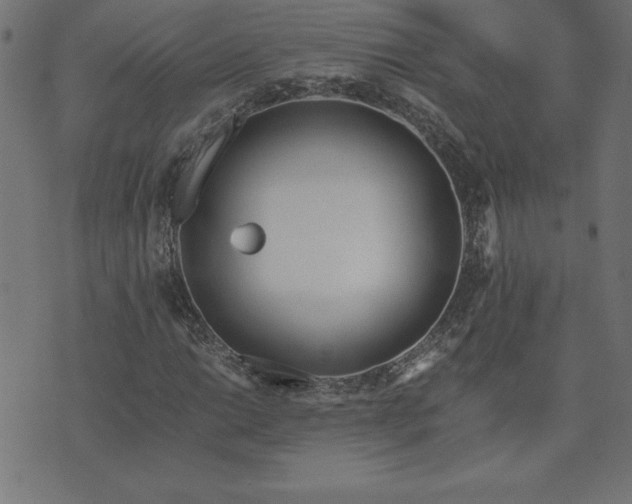 X0000073901014200608180953