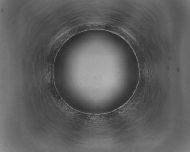 X0000073901015200608180953