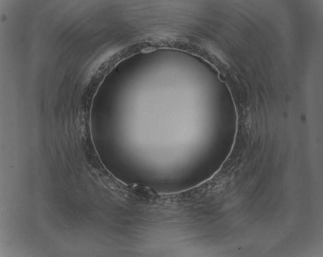 X0000073901016200608180953