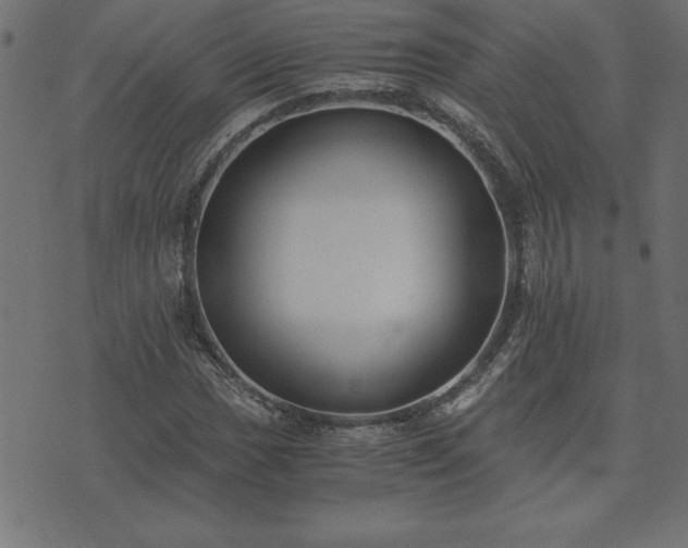 X0000073901017200608180953