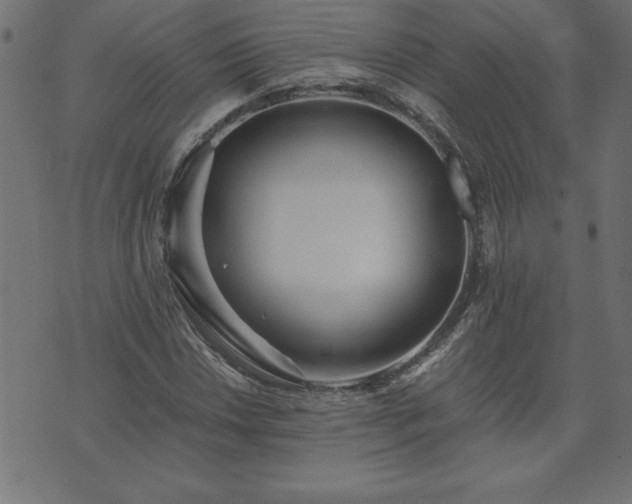 X0000073901018200608180953