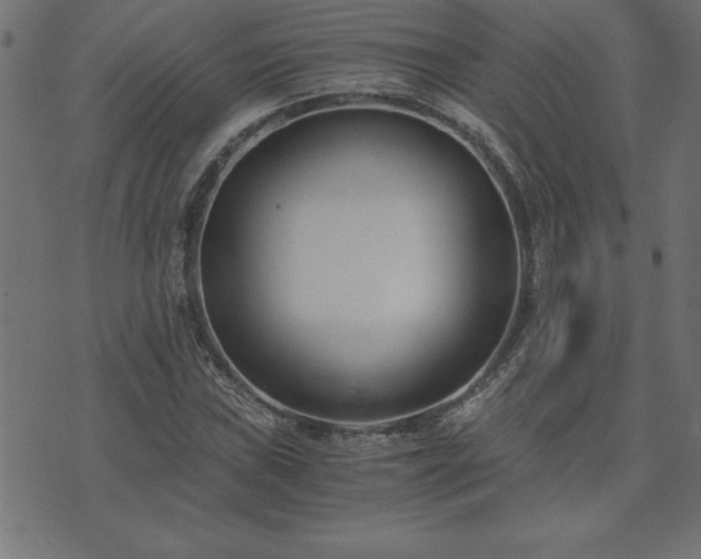 X0000073901019200608180953