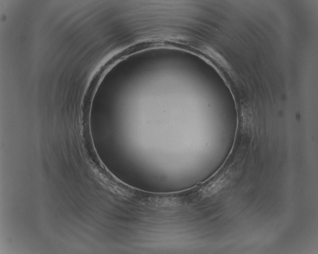 X0000073901020200608180953