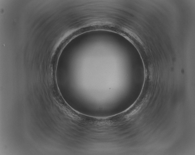 X0000073901021200608180953