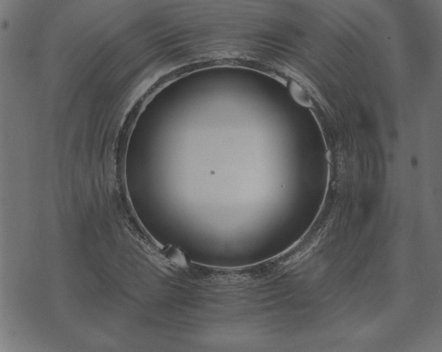 X0000073901023200608180953