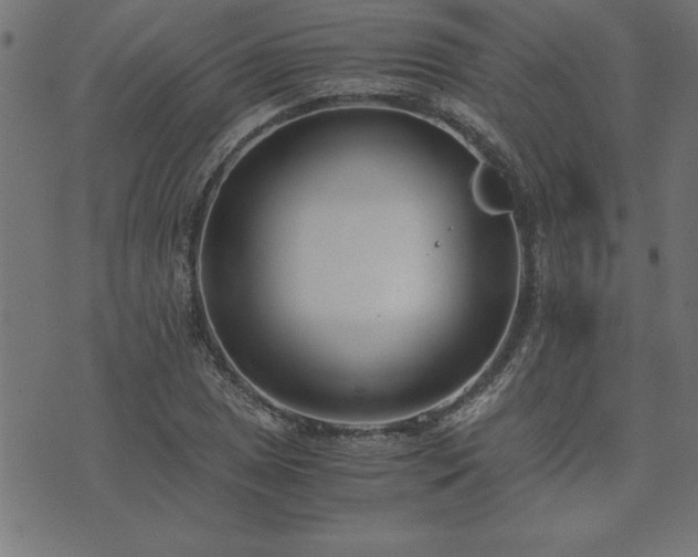 X0000073901025200608180953