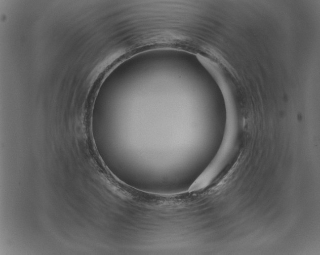 X0000073901026200608180953