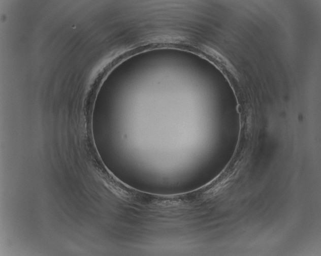 X0000073901027200608180953