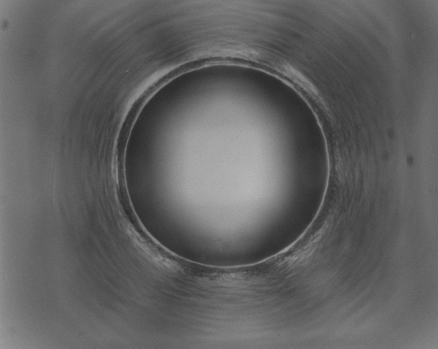 X0000073901028200608180953