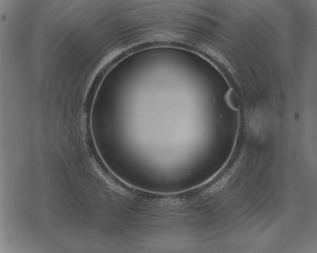 X0000073901029200608180953