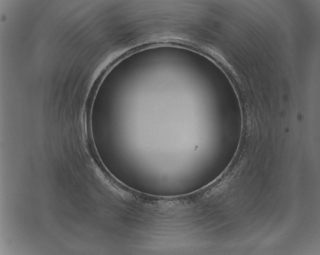 X0000073901032200608180953