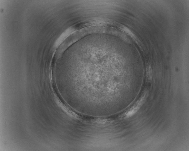 X0000073901034200608180953