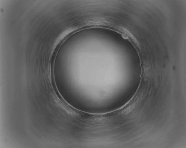 X0000073901035200608180953