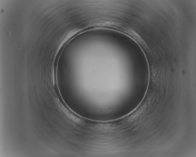 X0000073901036200608180953