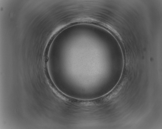 X0000073901037200608180954