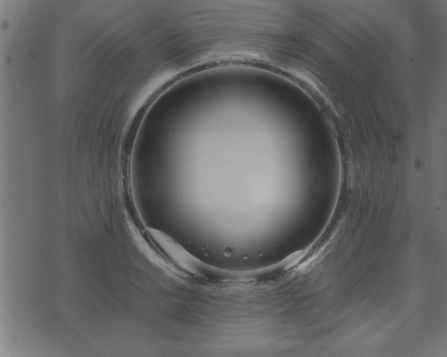 X0000073901038200608180954