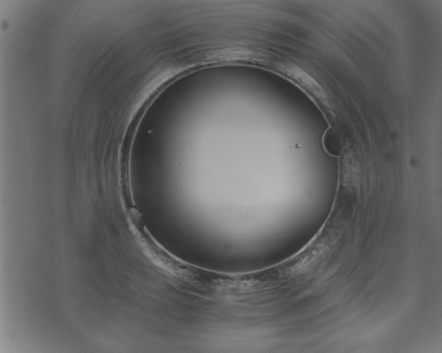 X0000073901039200608180954