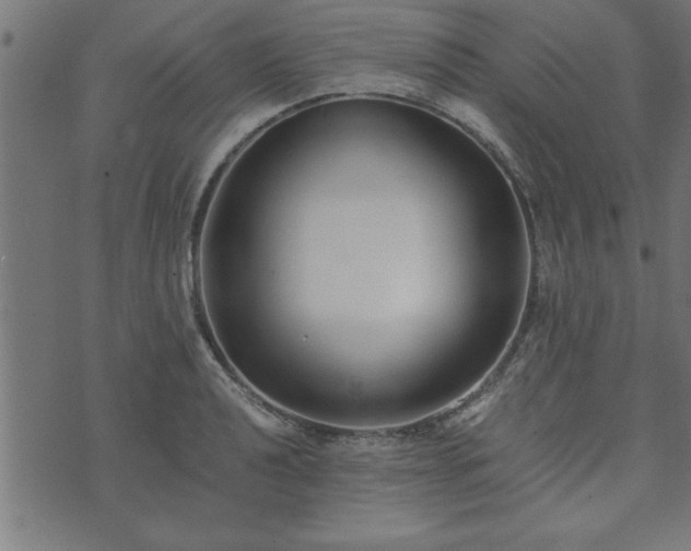 X0000073901040200608180954