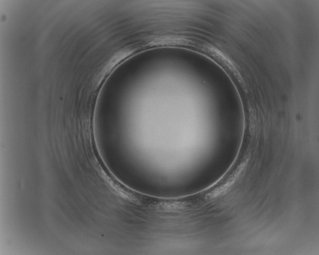 X0000073901041200608180954